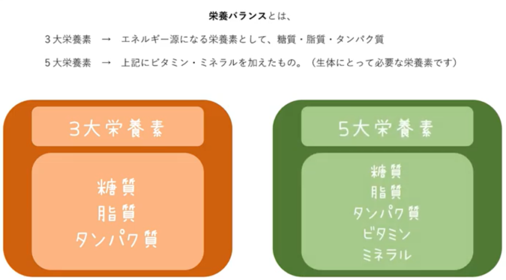 栄養バランスとは