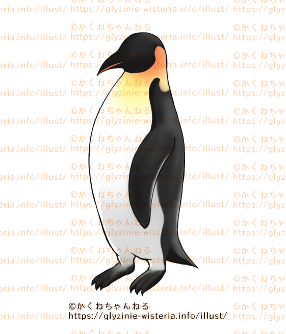 リアルなペンギンの描き方
