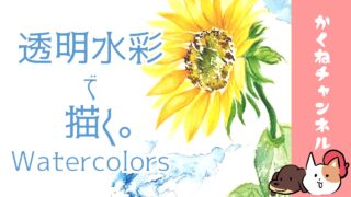 透明水彩で向日葵を描く。ひまわり/ヒマワリ